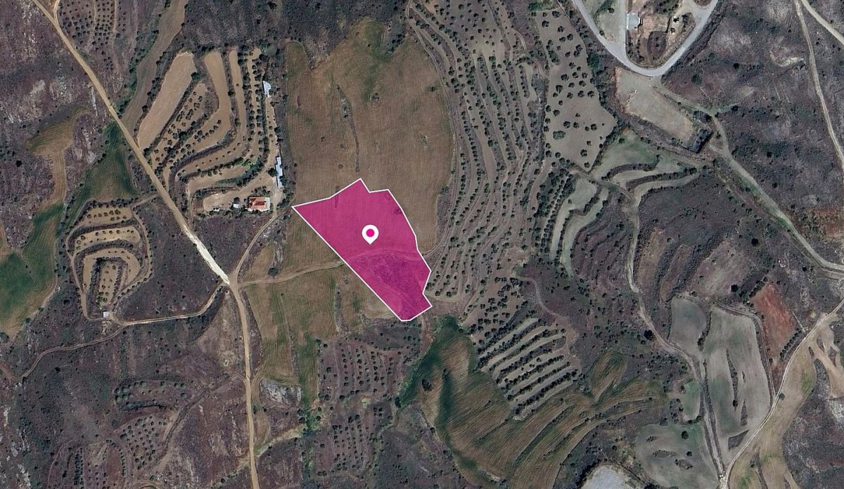 (Share) Agricultural Field in Kalo Chorio Oreinis, Nicosia