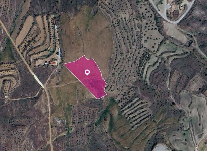 Kalo Chorio, Nicosia Agricultural Field For Sale | WW28908