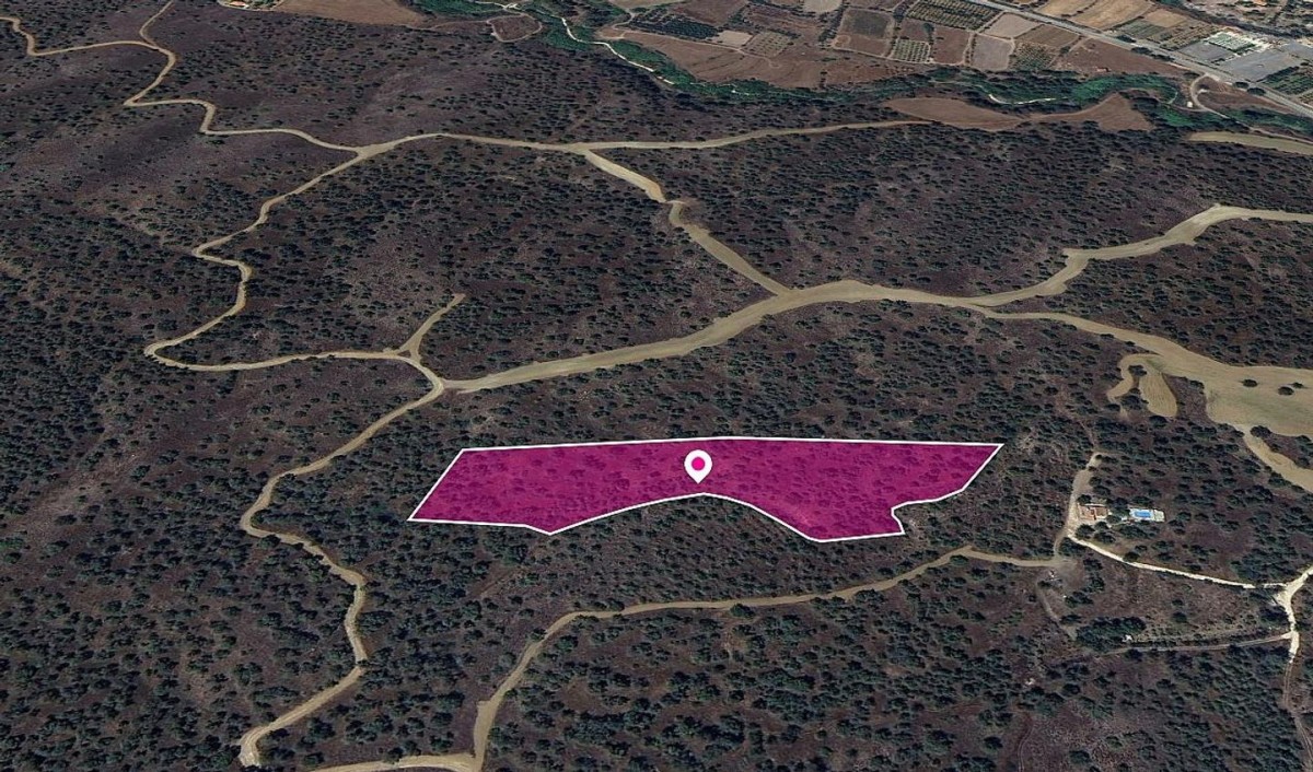 (Share) Agricultural field in Evrychou, Nicosia