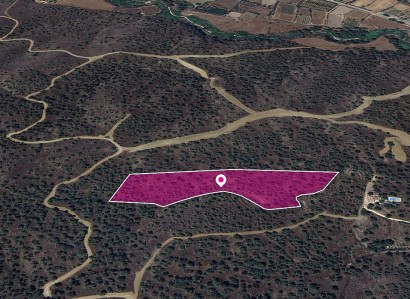 Evrychou, Nicosia Agricultural Field For Sale | WW28912