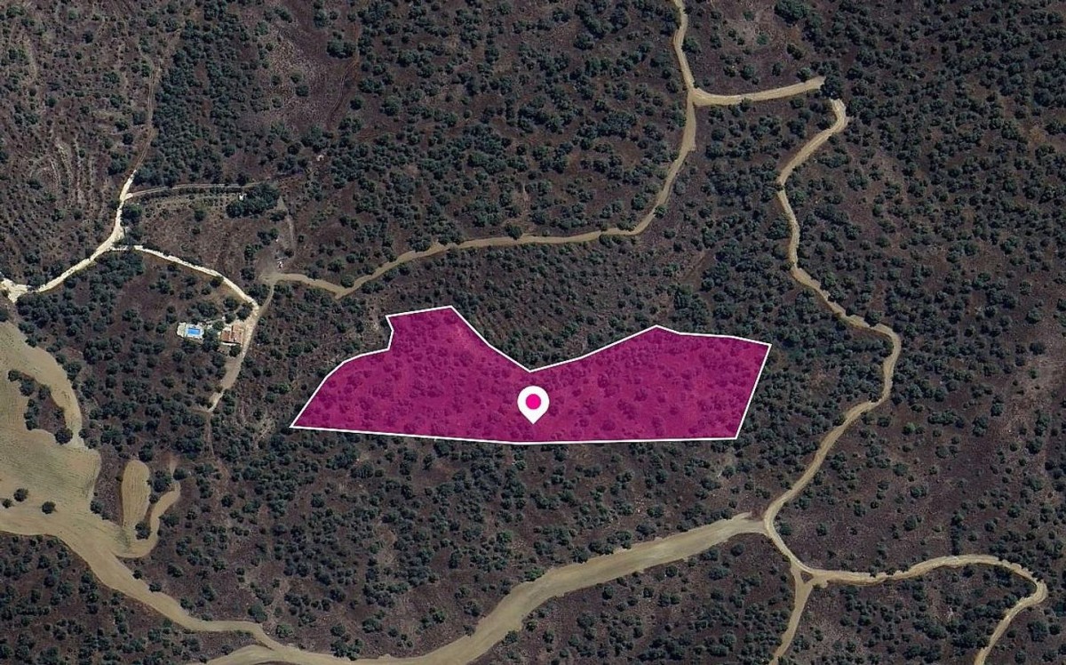 (Share) Agricultural field in Evrychou, Nicosia