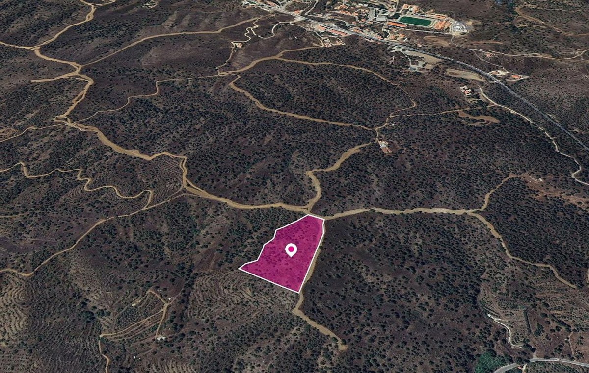 (Share) Agricultural field in Agios Theodoros Soleas, Nicosia