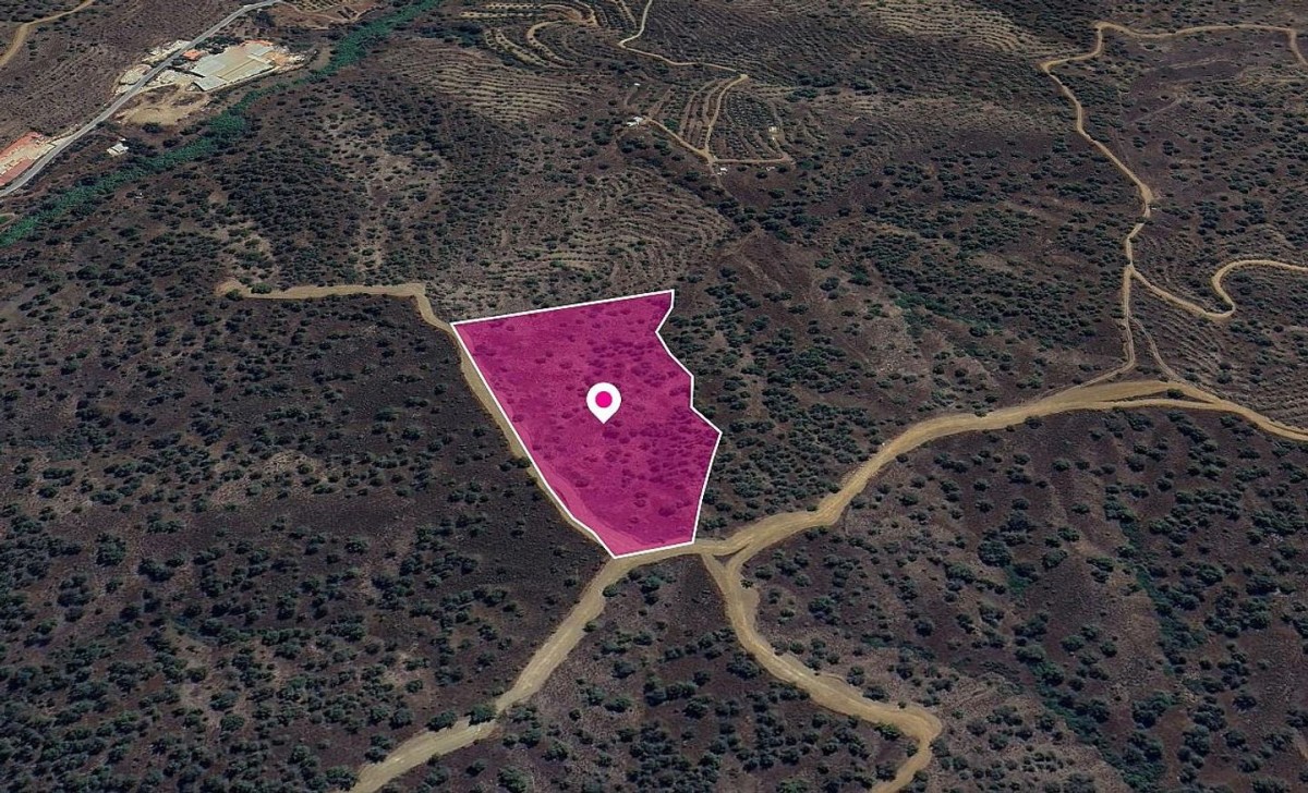 (Share) Agricultural field in Agios Theodoros Soleas, Nicosia