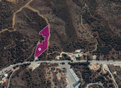 Evrychou, Nicosia Agricultural Field For Sale | WW28914