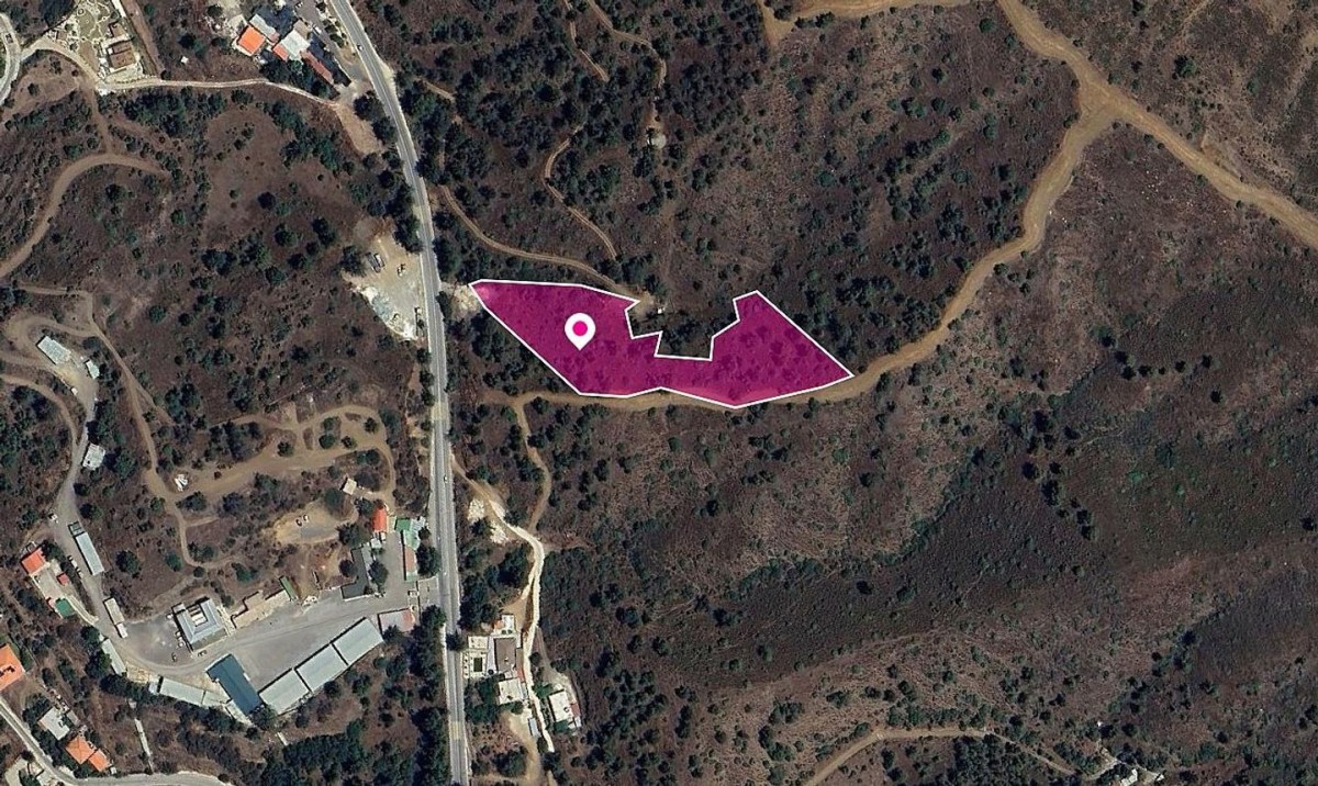 (Share) Agricultural field in Evrychou, Nicosia