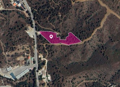 Evrychou, Nicosia Agricultural Field For Sale | WW28914
