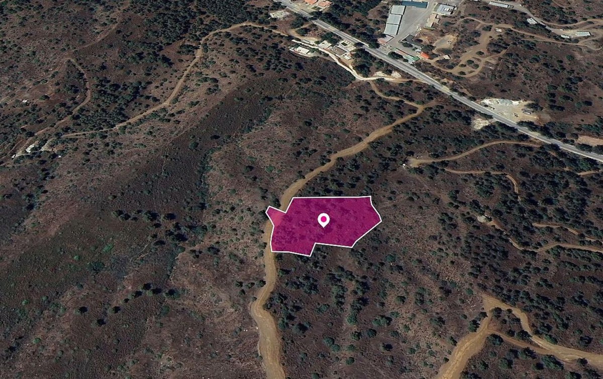 Evrychou, Nicosia Agricultural Field For Sale | WW28915