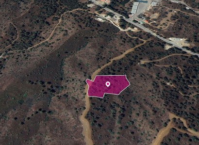 Evrychou, Nicosia Agricultural Field For Sale | WW28915