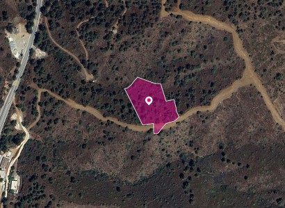 Evrychou, Nicosia Agricultural Field For Sale | WW28915