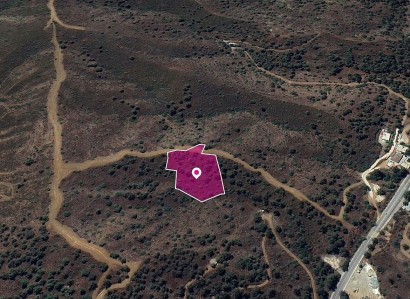 Evrychou, Nicosia Agricultural Field For Sale | WW28915