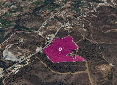 Evrychou, Nicosia Agricultural Field For Sale | WW28916