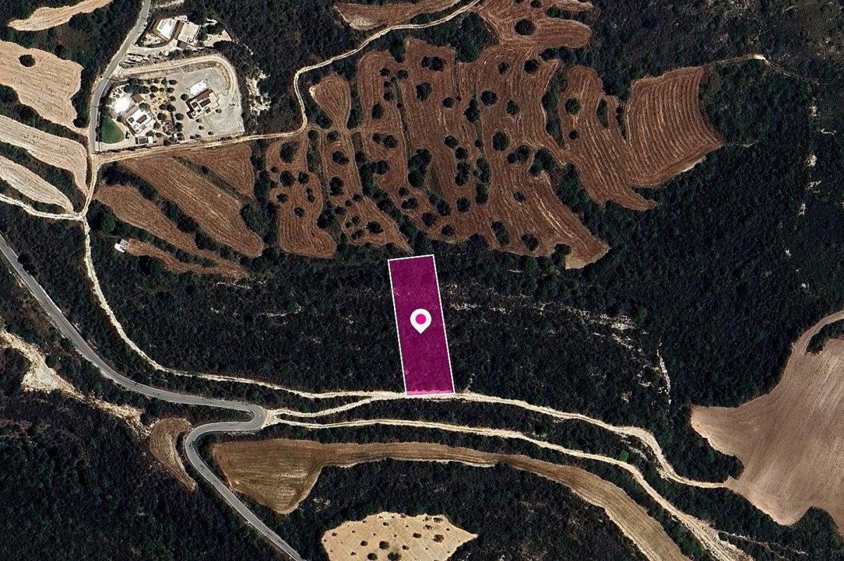 Kritou Tera, Paphos Agricultural Field For Sale | WW28928