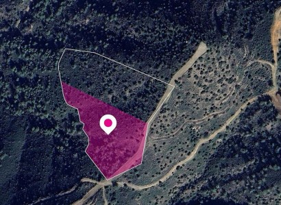 Lythrodontas, Nicosia Agricultural Field For Sale | WW28935