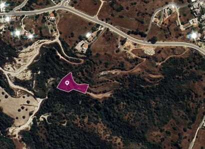 Neo Chorio, Paphos Agricultural Field For Sale | WW28946