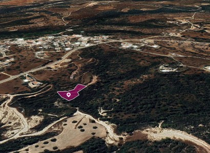 Neo Chorio, Paphos Agricultural Field For Sale | WW28946