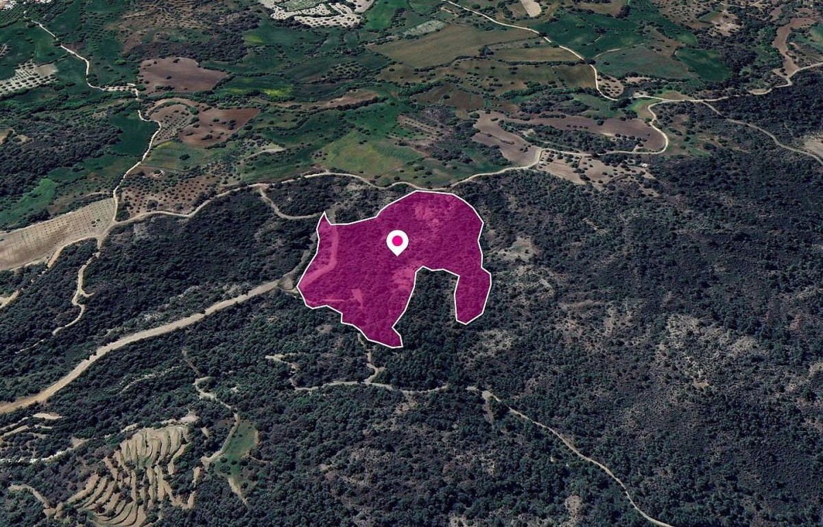 Lysos, Paphos Agricultural Field For Sale | WW28950