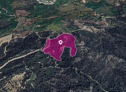 Lysos, Paphos Agricultural Field For Sale | WW28950