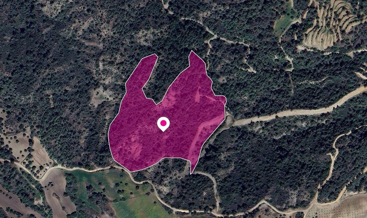 (Share) Agricultural Field, Lysos, Paphos