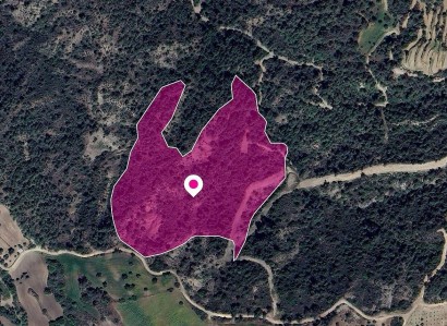 Lysos, Paphos Agricultural Field For Sale | WW28950