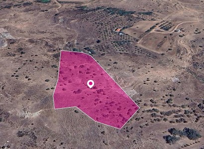 Choletria, Paphos Agricultural Field For Sale | WW28953