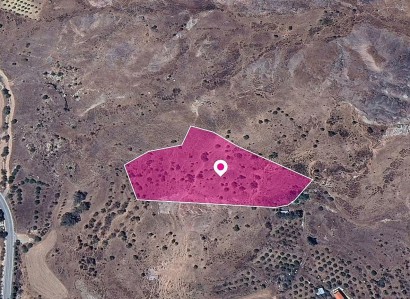 Choletria, Paphos Agricultural Field For Sale | WW28953