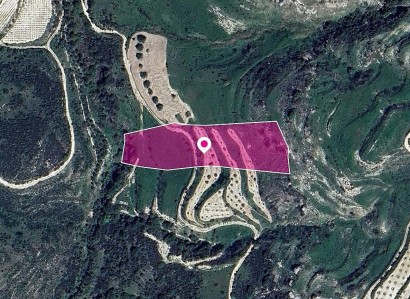 Stroumbi, Paphos Agricultural Field For Sale | WW28957