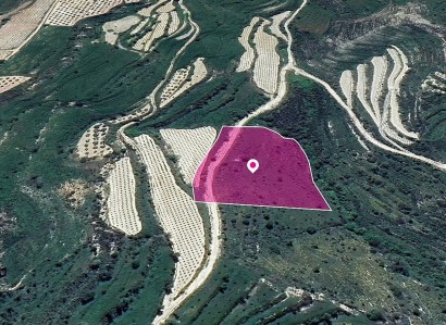 Koili, Paphos Agricultural Field For Sale | WW28959