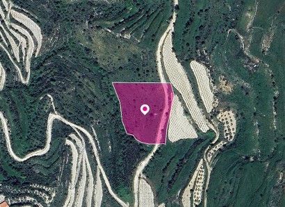 Koili, Paphos Agricultural Field For Sale | WW28959