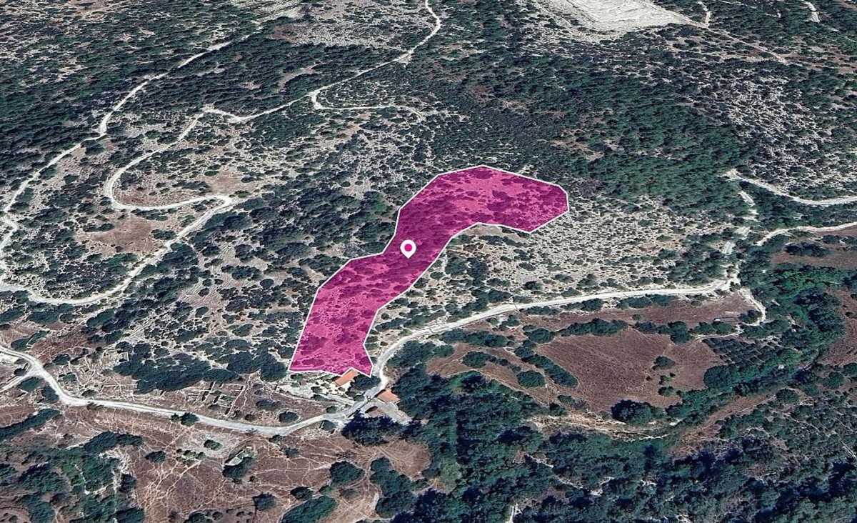 Archimandrita, Paphos Agricultural Field For Sale | WW28960