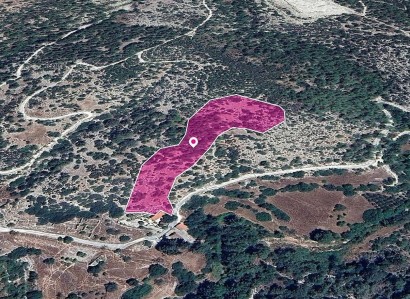 Archimandrita, Paphos Agricultural Field For Sale | WW28960