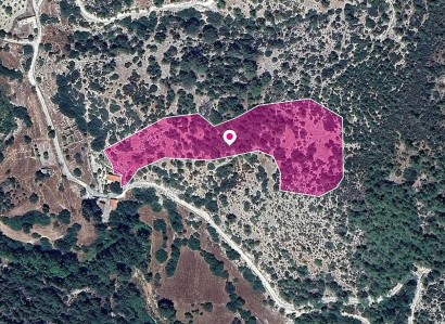 Archimandrita, Paphos Agricultural Field For Sale | WW28960