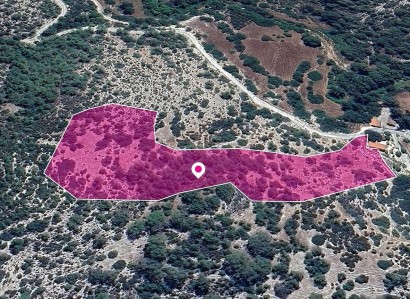 Archimandrita, Paphos Agricultural Field For Sale | WW28960