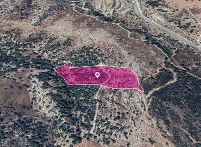 Archimandrita, Paphos Agricultural Field For Sale | WW28961