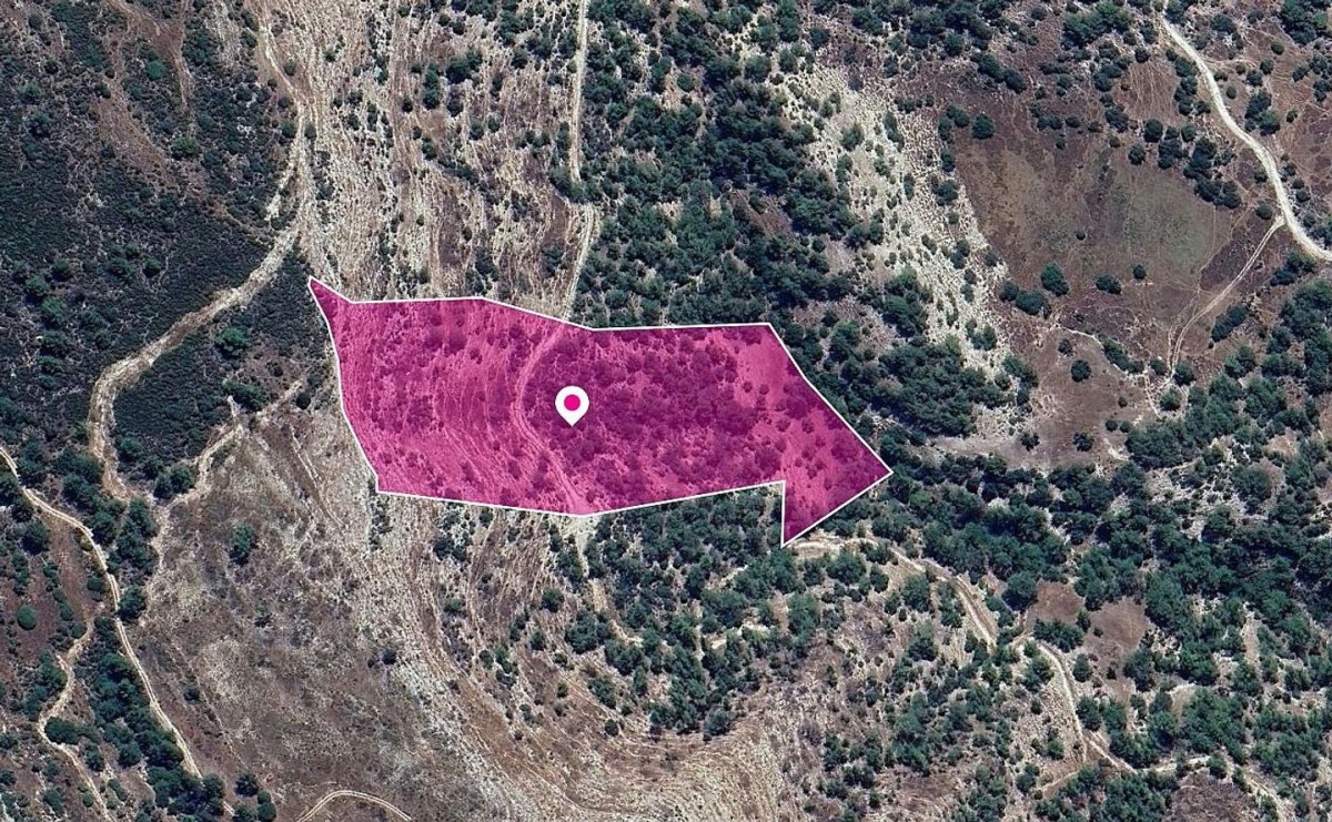 Special Protection Zoned Field in Pano Archimandrita, Paphos