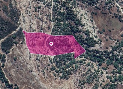 Archimandrita, Paphos Agricultural Field For Sale | WW28961