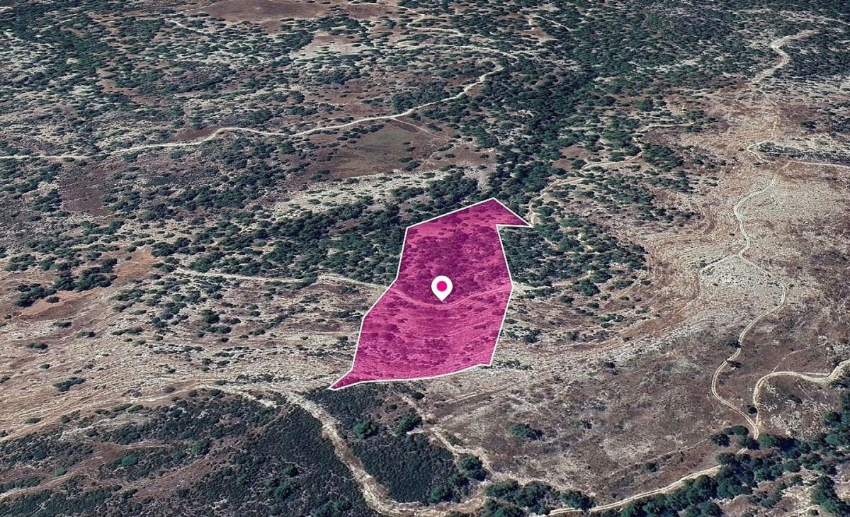 Special Protection Zoned Field in Pano Archimandrita, Paphos