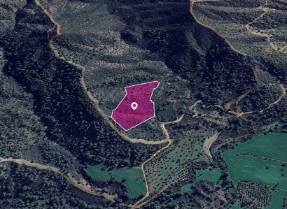 Lythrodontas, Nicosia Agricultural Field For Sale | WW28964