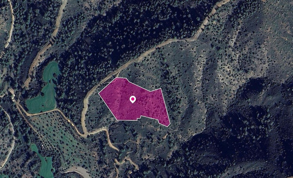 (Share) Special Protection Zoned Field in Lythrodontas, Nicosia.