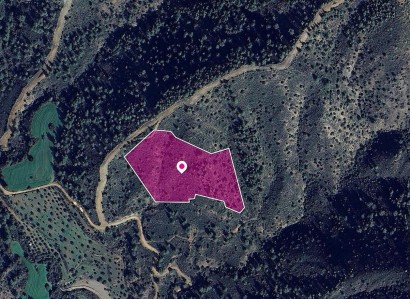 Lythrodontas, Nicosia Agricultural Field For Sale | WW28964