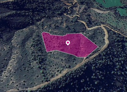 Lythrodontas, Nicosia Agricultural Field For Sale | WW28964