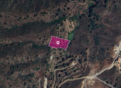 Temvria, Nicosia Agricultural Field For Sale | WW28966
