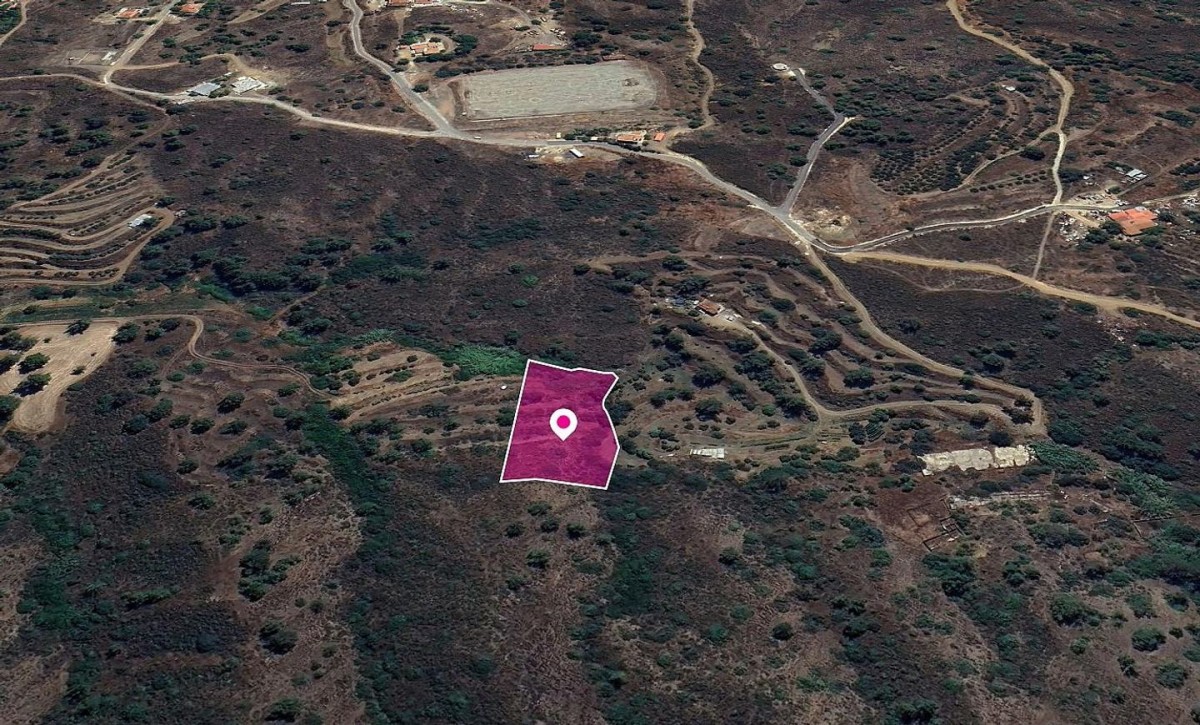 Agricultural Field in Temvria, Nicosia