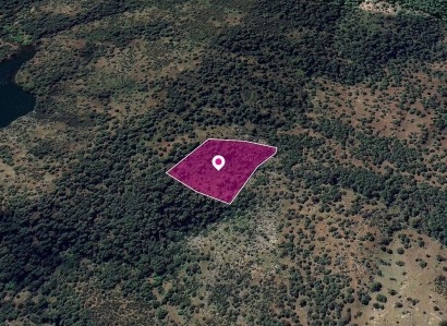 Pigenia, Nicosia Agricultural Field For Sale | WW28978