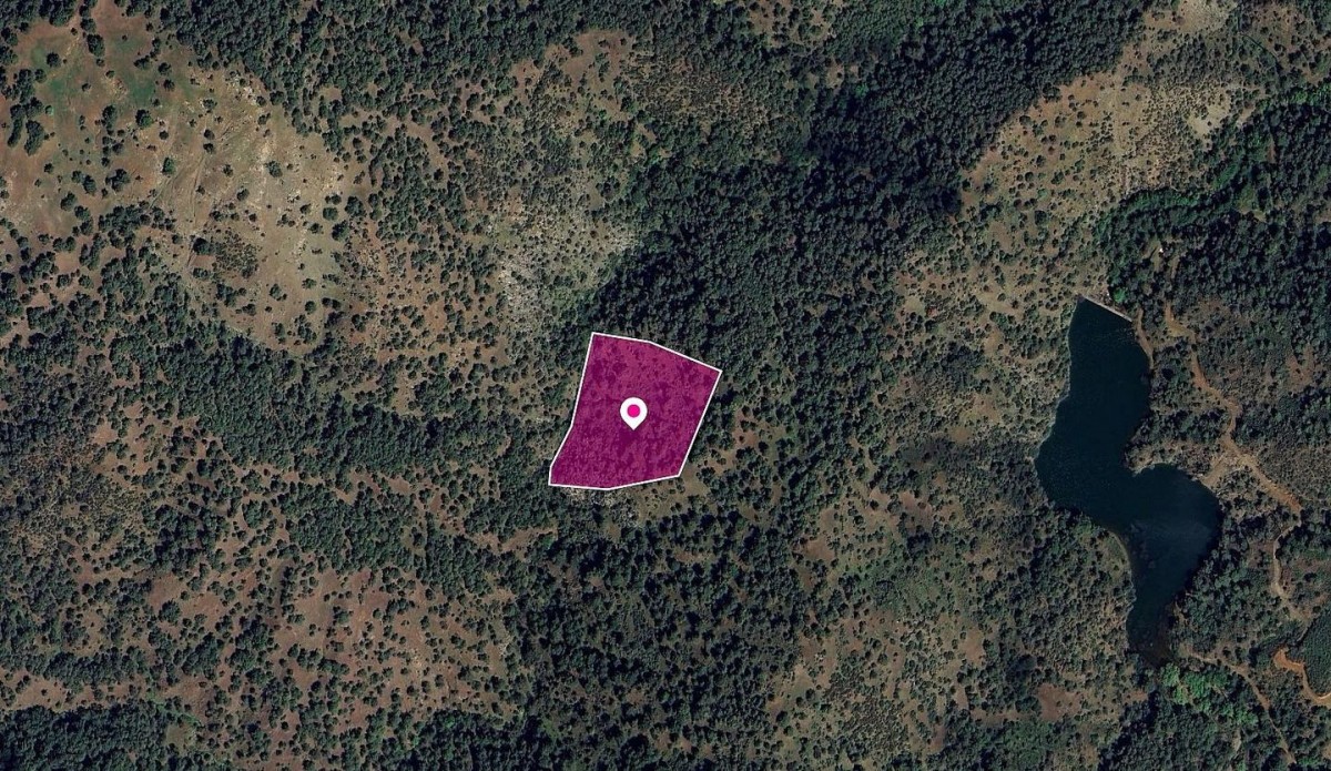 Agricultural Field in Pigenia, Nicosia