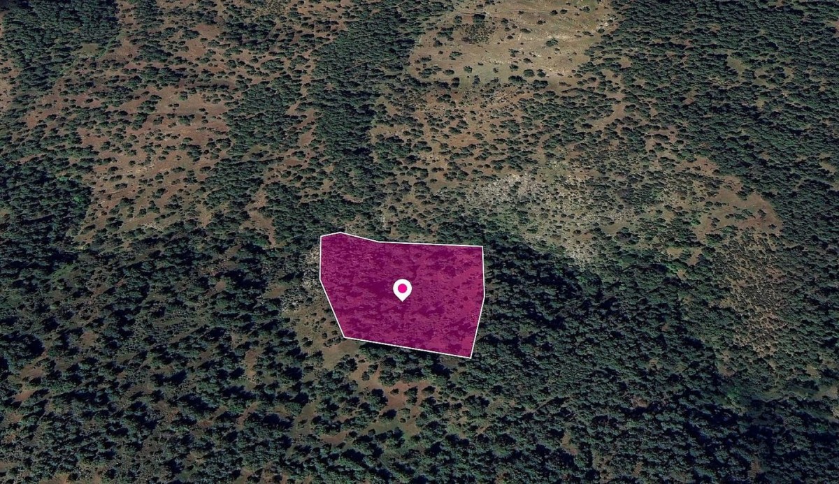 Agricultural Field in Pigenia, Nicosia