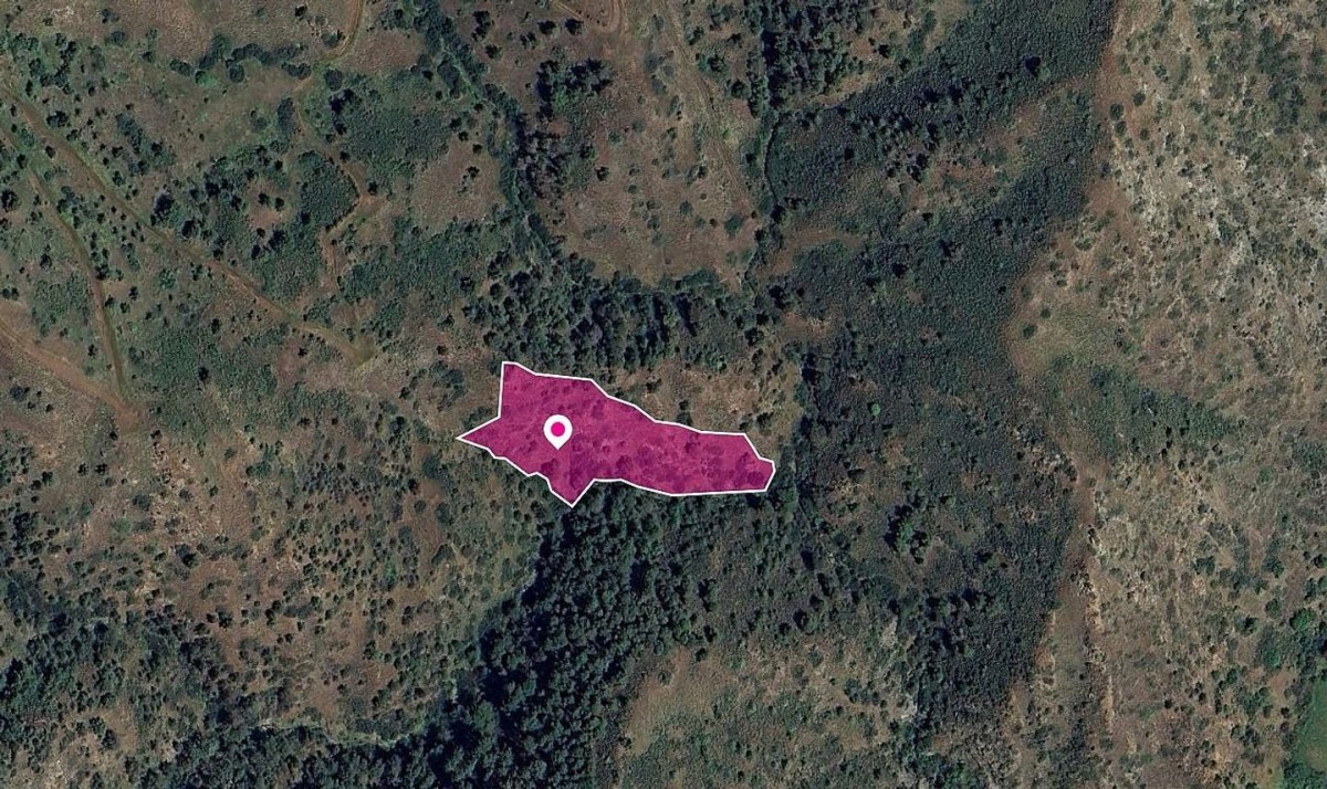 Pigenia, Nicosia Agricultural Field For Sale | WW28980