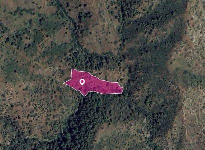 Pigenia, Nicosia Agricultural Field For Sale | WW28980
