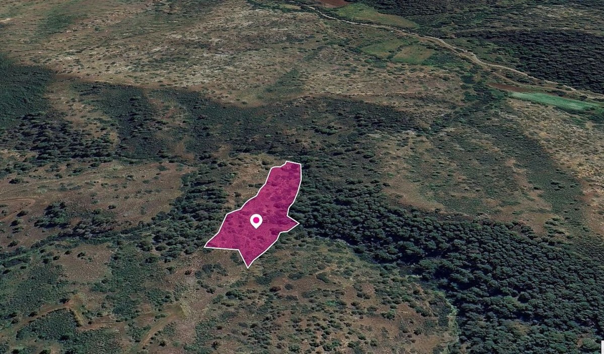 Agricultural Field in Pigenia, Nicosia