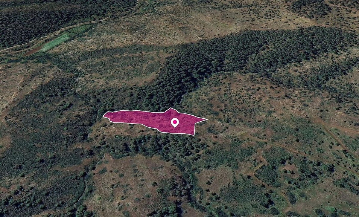 Agricultural Field in Pigenia, Nicosia