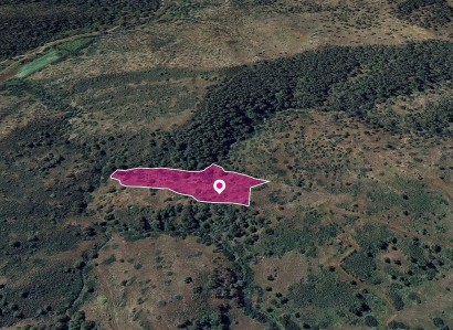 Pigenia, Nicosia Agricultural Field For Sale | WW28980